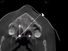 Manually Adjusting a Face Scan Alignment